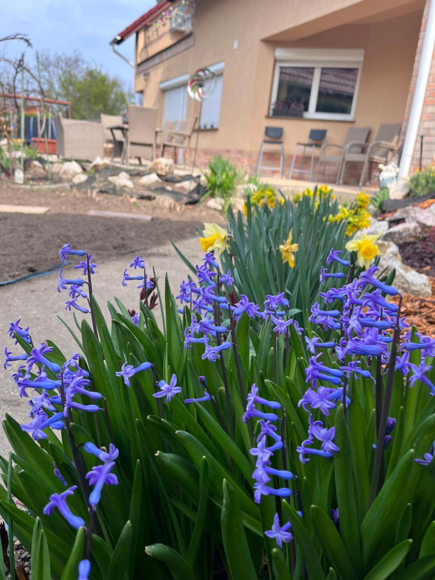 Garden Villa Budapeszt Zewnętrze zdjęcie