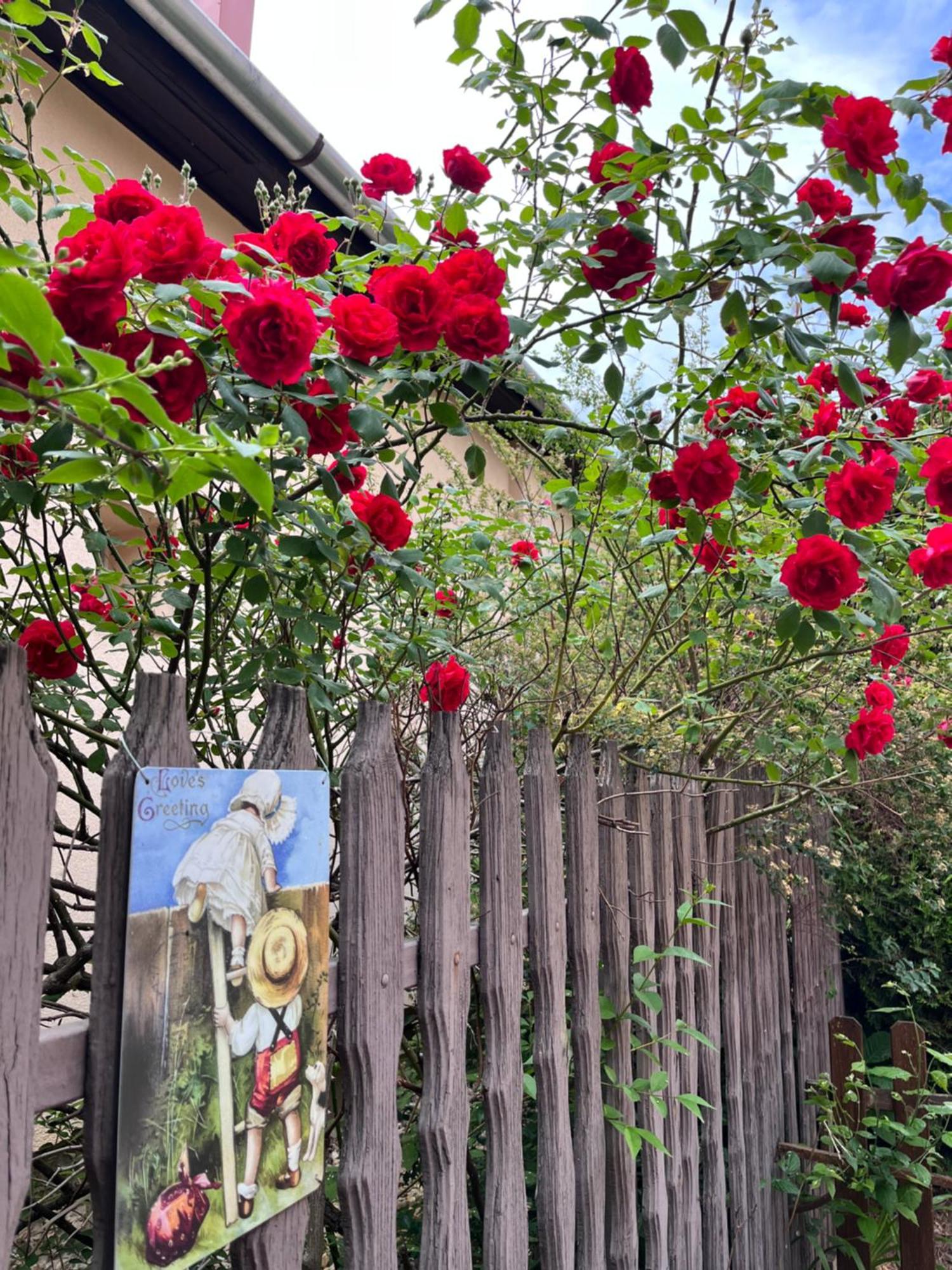 Garden Villa Budapeszt Zewnętrze zdjęcie